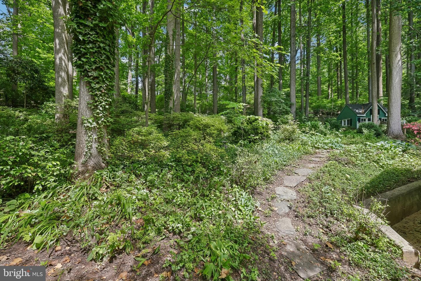 11124 Old Carriage Road photo 62