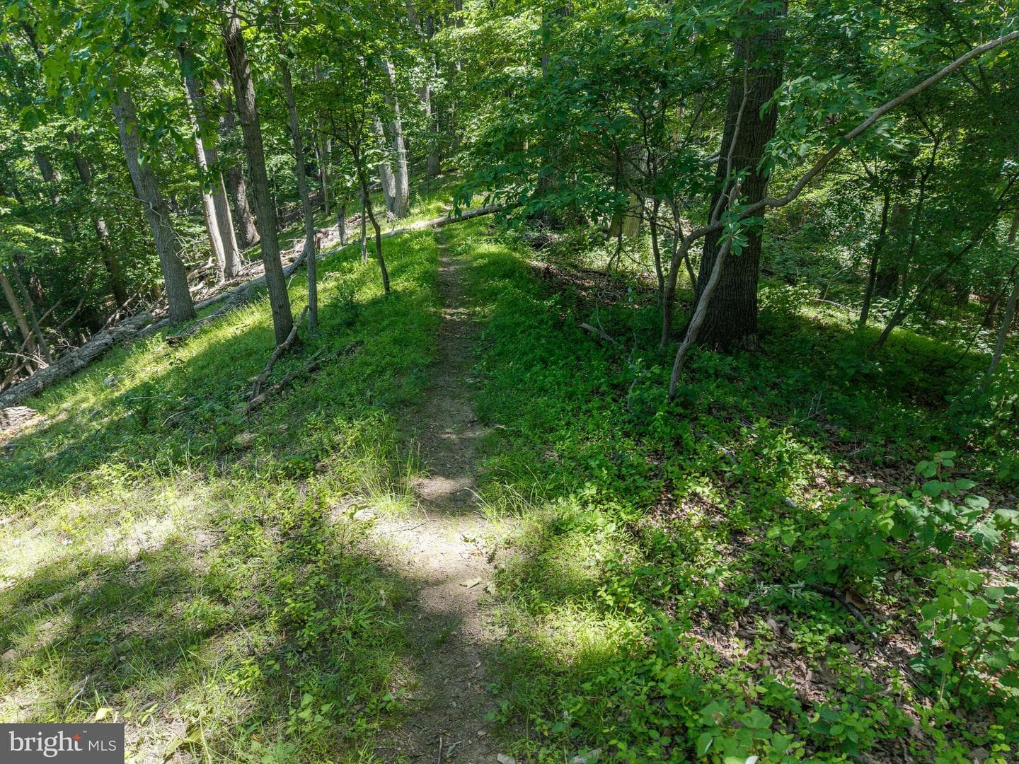 11124 Old Carriage Road photo 65