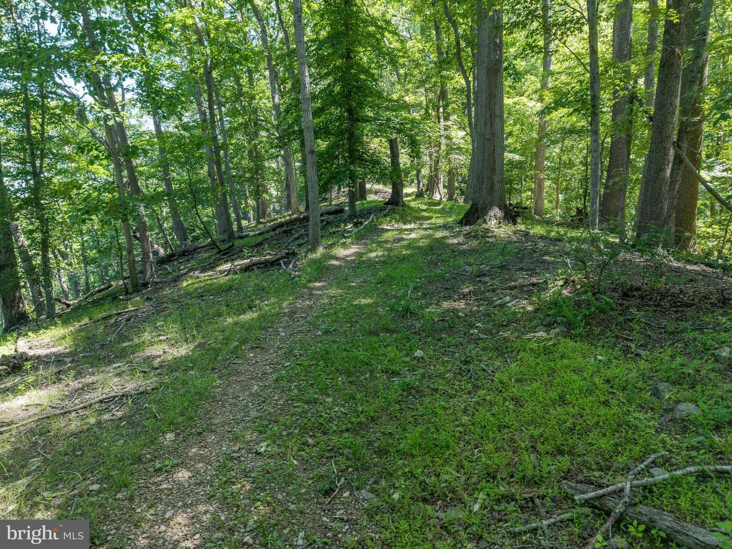 11124 Old Carriage Road photo 66
