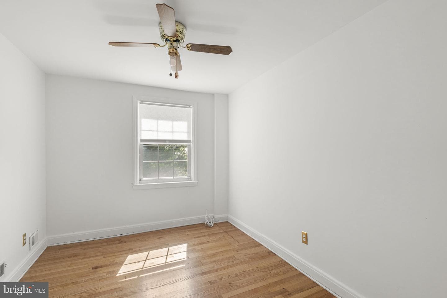 355 Whitfield Road photo 22