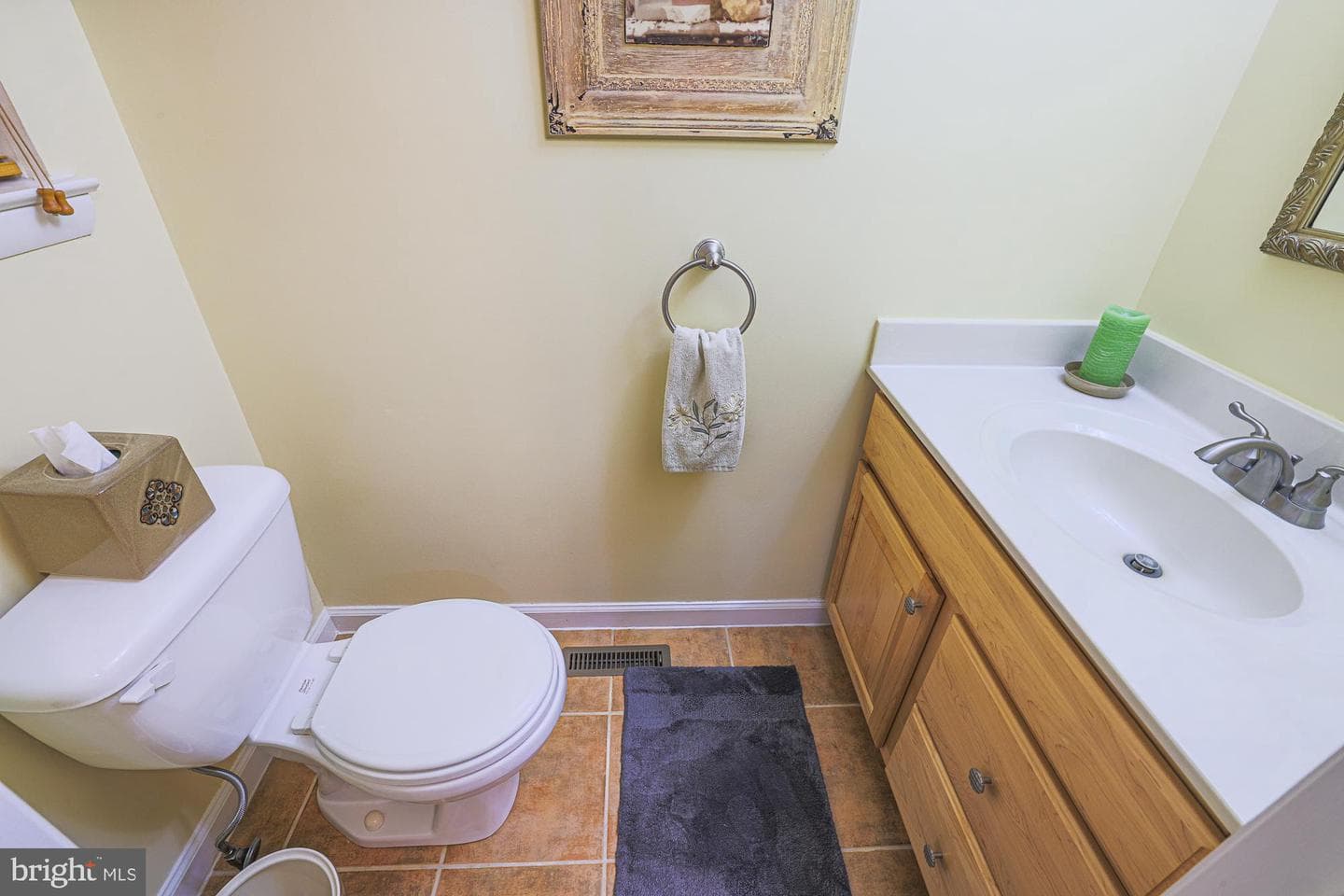 15 Millbridge Court photo 15