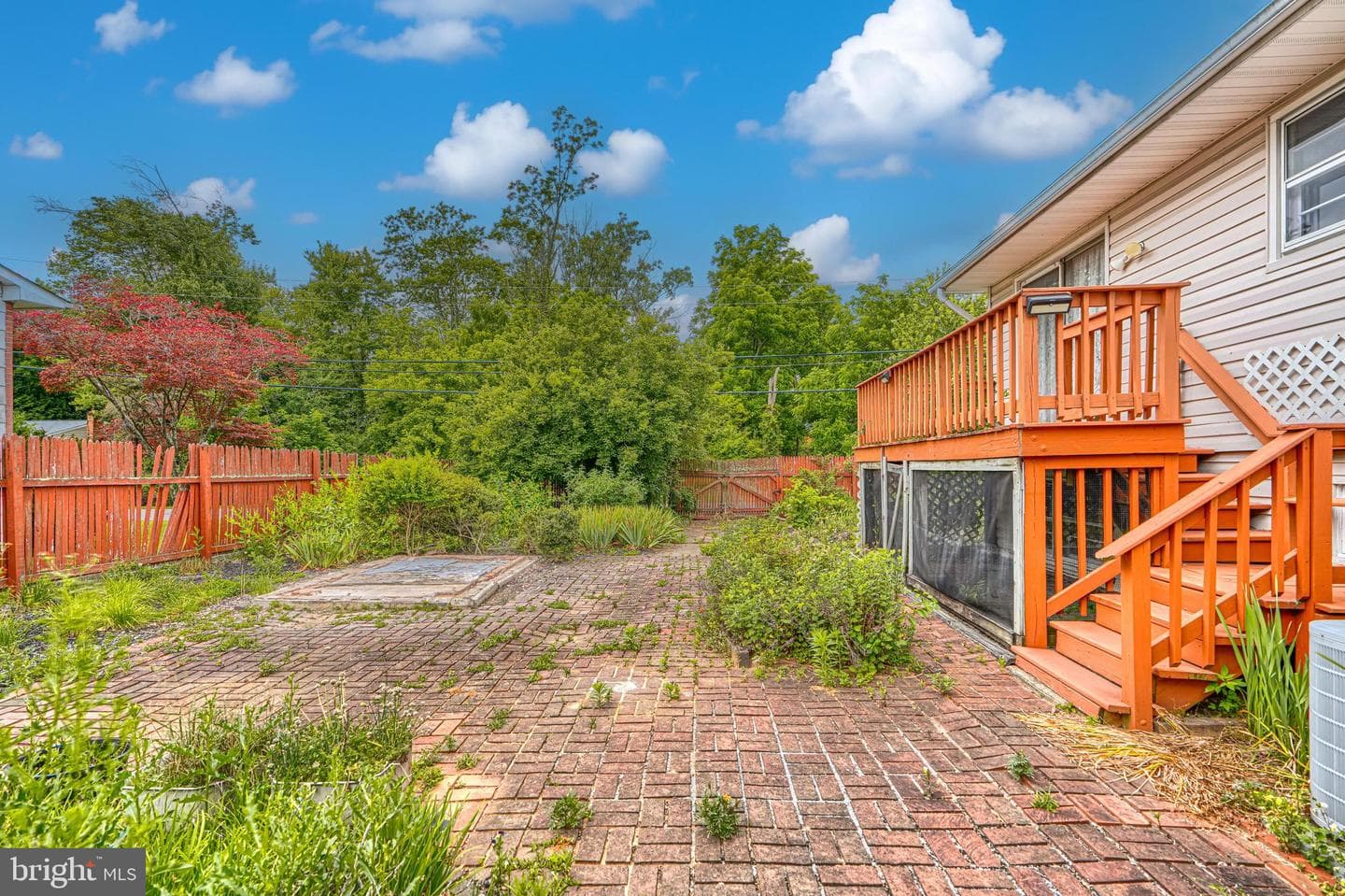 201 Mysticwood Road photo 46
