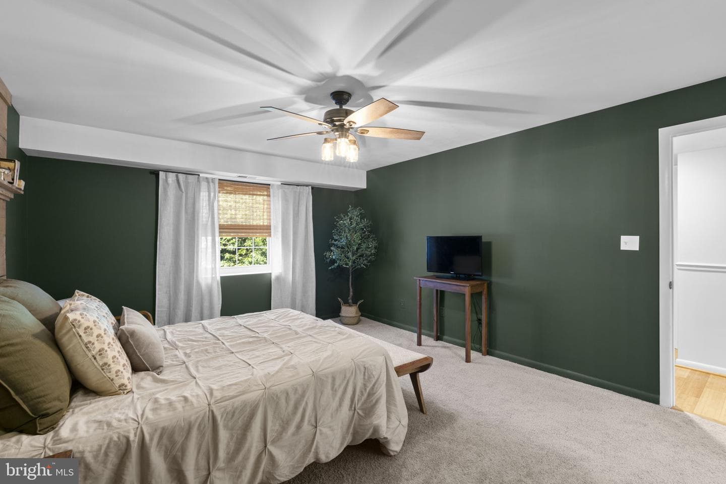 1 Elphin Court #301 photo 19