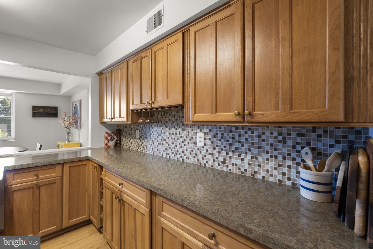 1 Elphin Court #301 photo 9