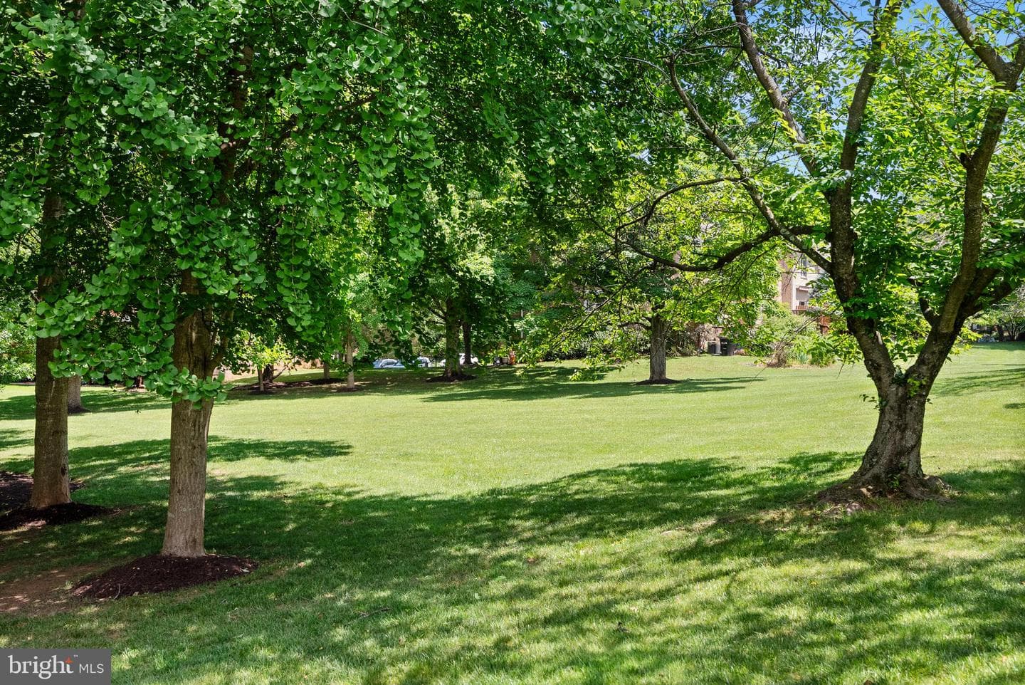 11809 Sherbourne Drive photo 56