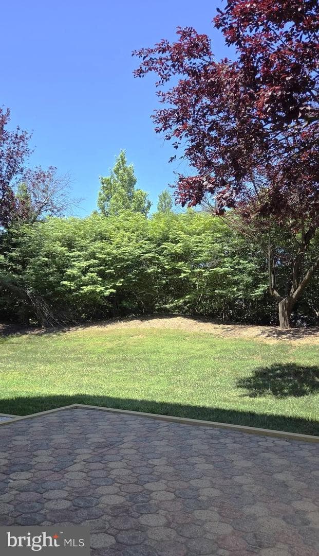 9776 Harvester Circle photo 7