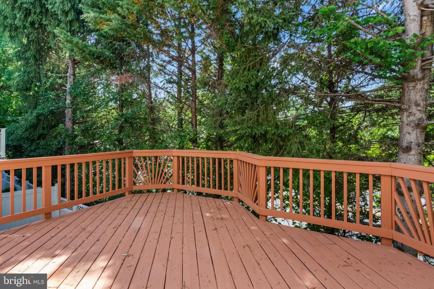122 Persimmon Circle photo 31