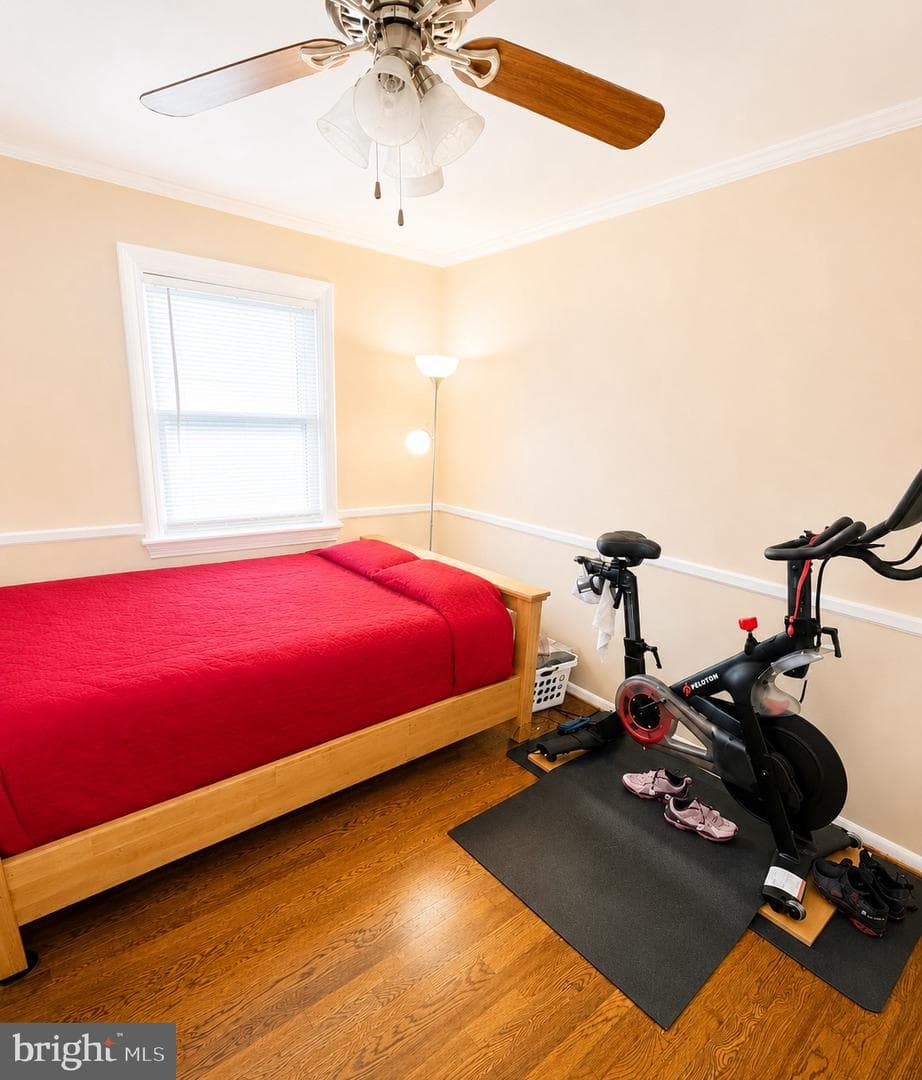 20 Morrislea Court photo 18