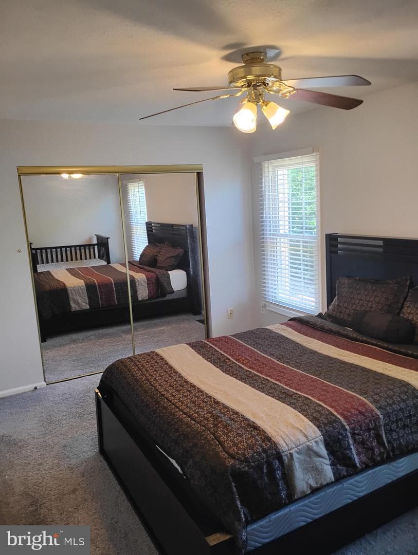 1635 Winding Brook Way photo 22