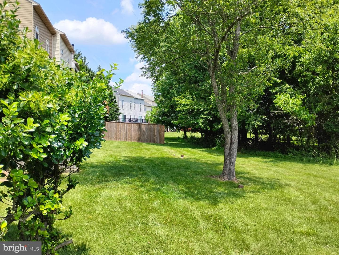 1635 Winding Brook Way photo 36