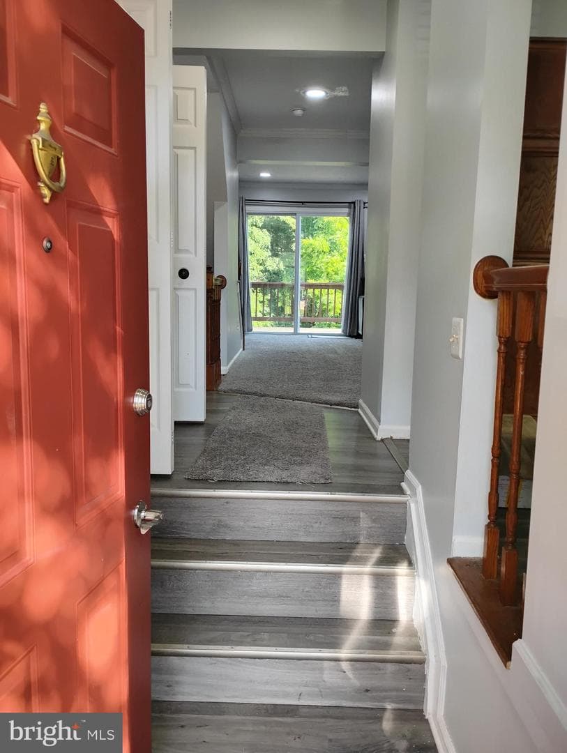1635 Winding Brook Way photo 5