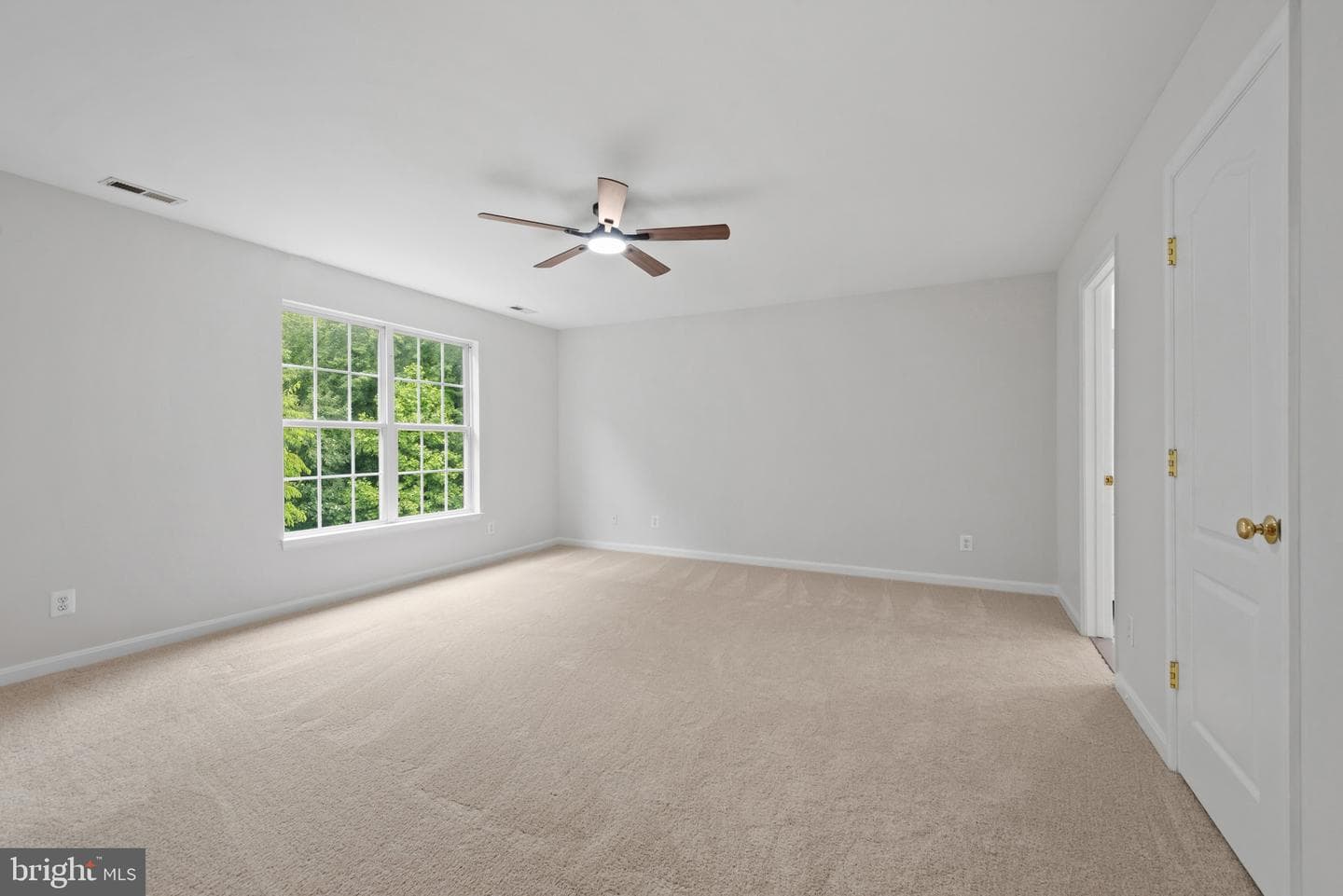 8132 Rose Haven Road photo 32