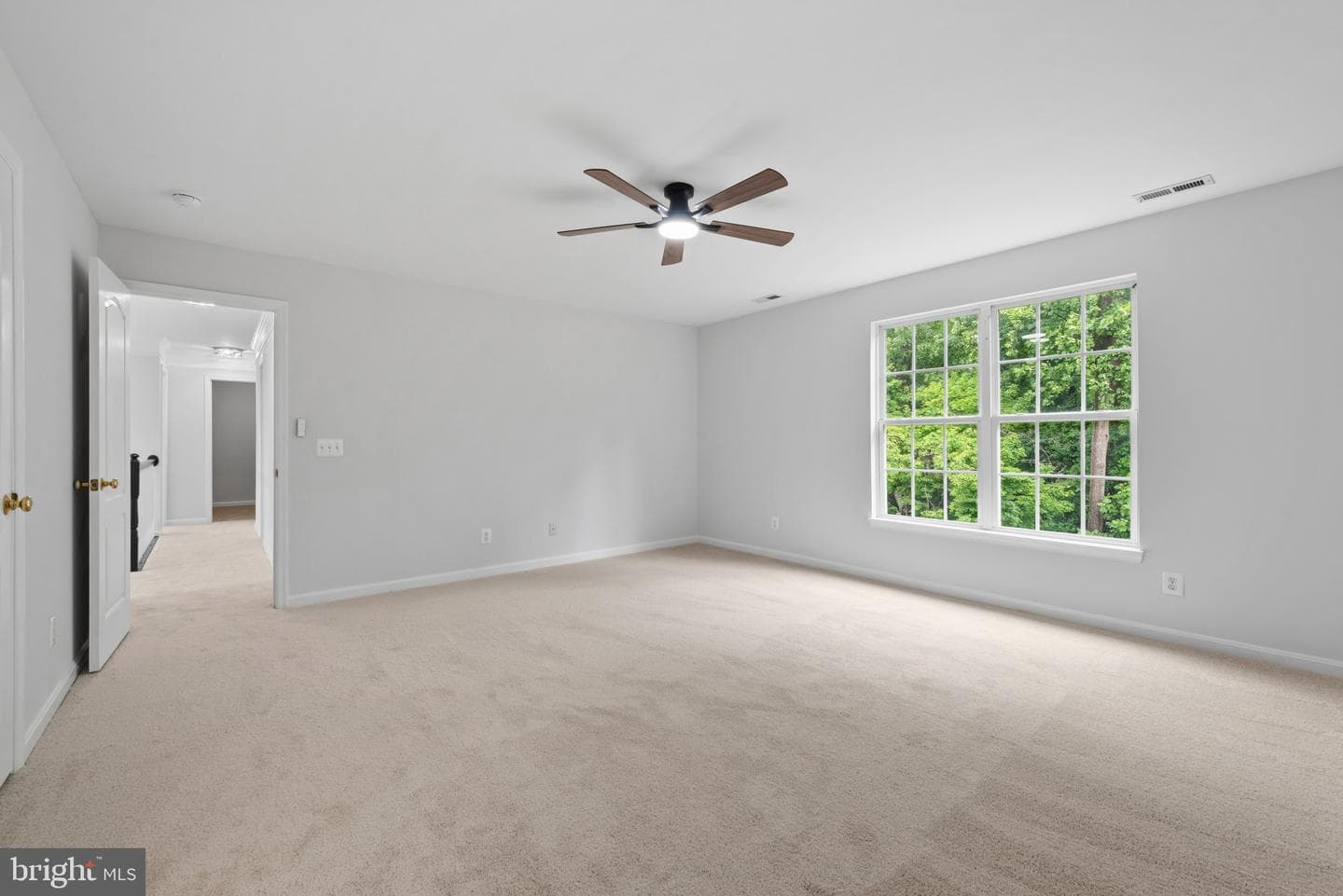 8132 Rose Haven Road photo 36