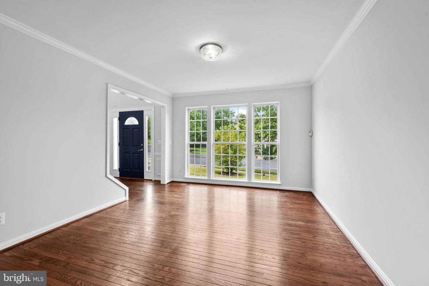 8132 Rose Haven Road photo 5