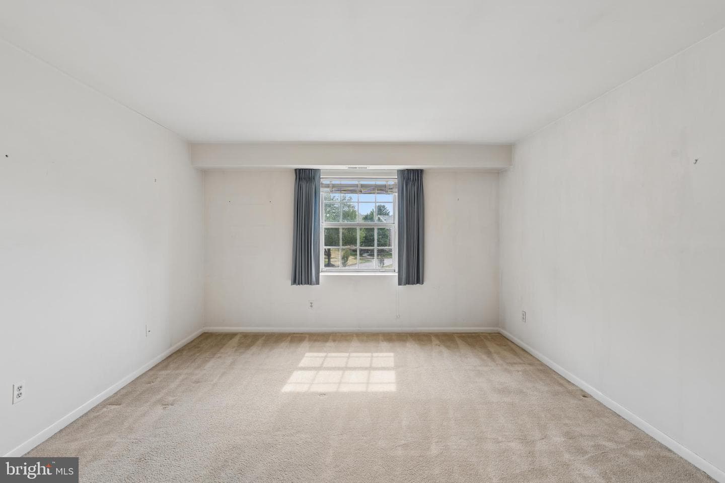 1 Lucan Court #301 photo 20