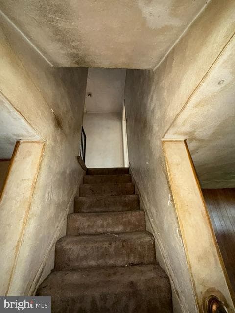 830 Middlesex Road photo 20