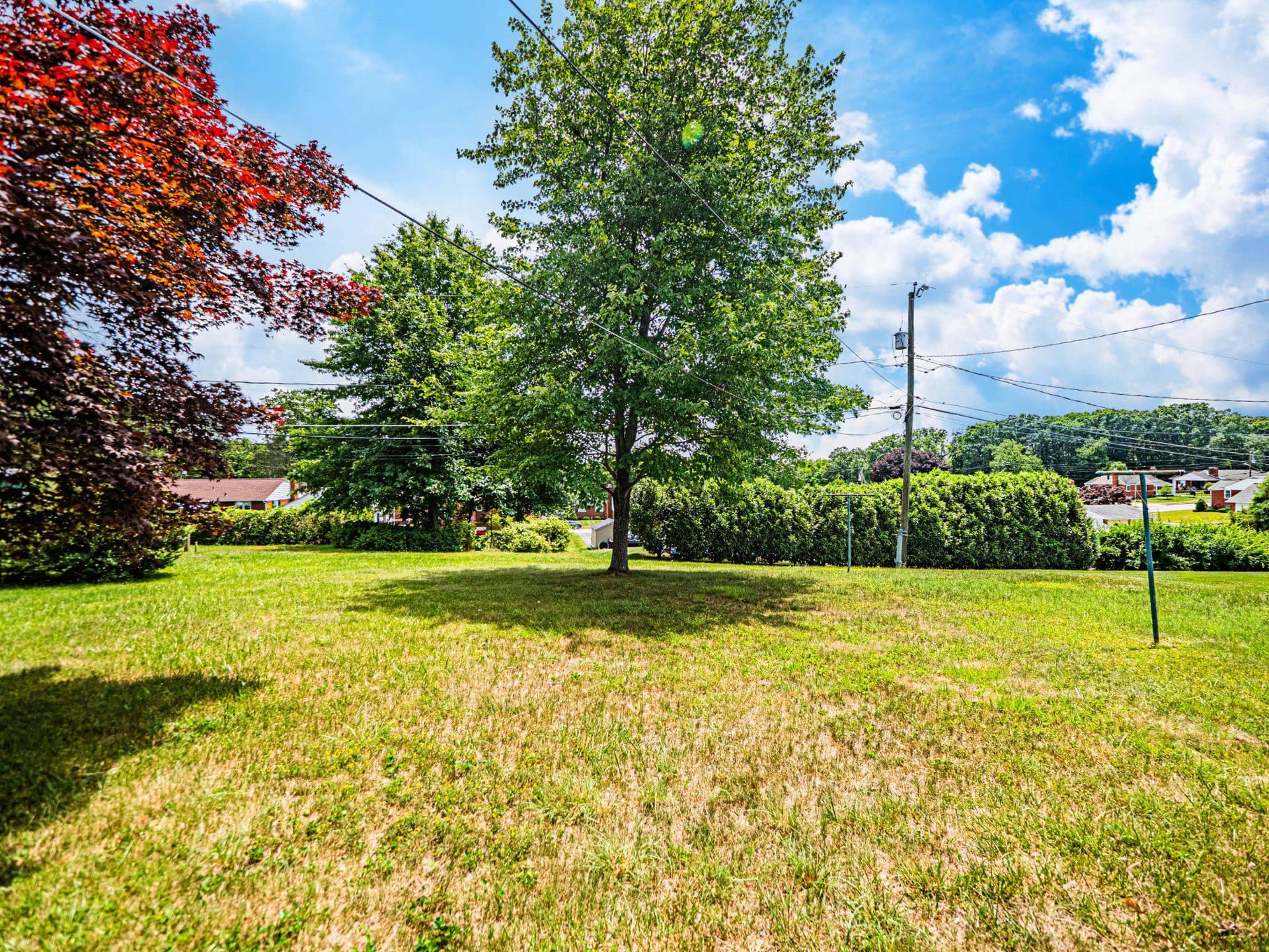 9907 Forge Park Road photo 4