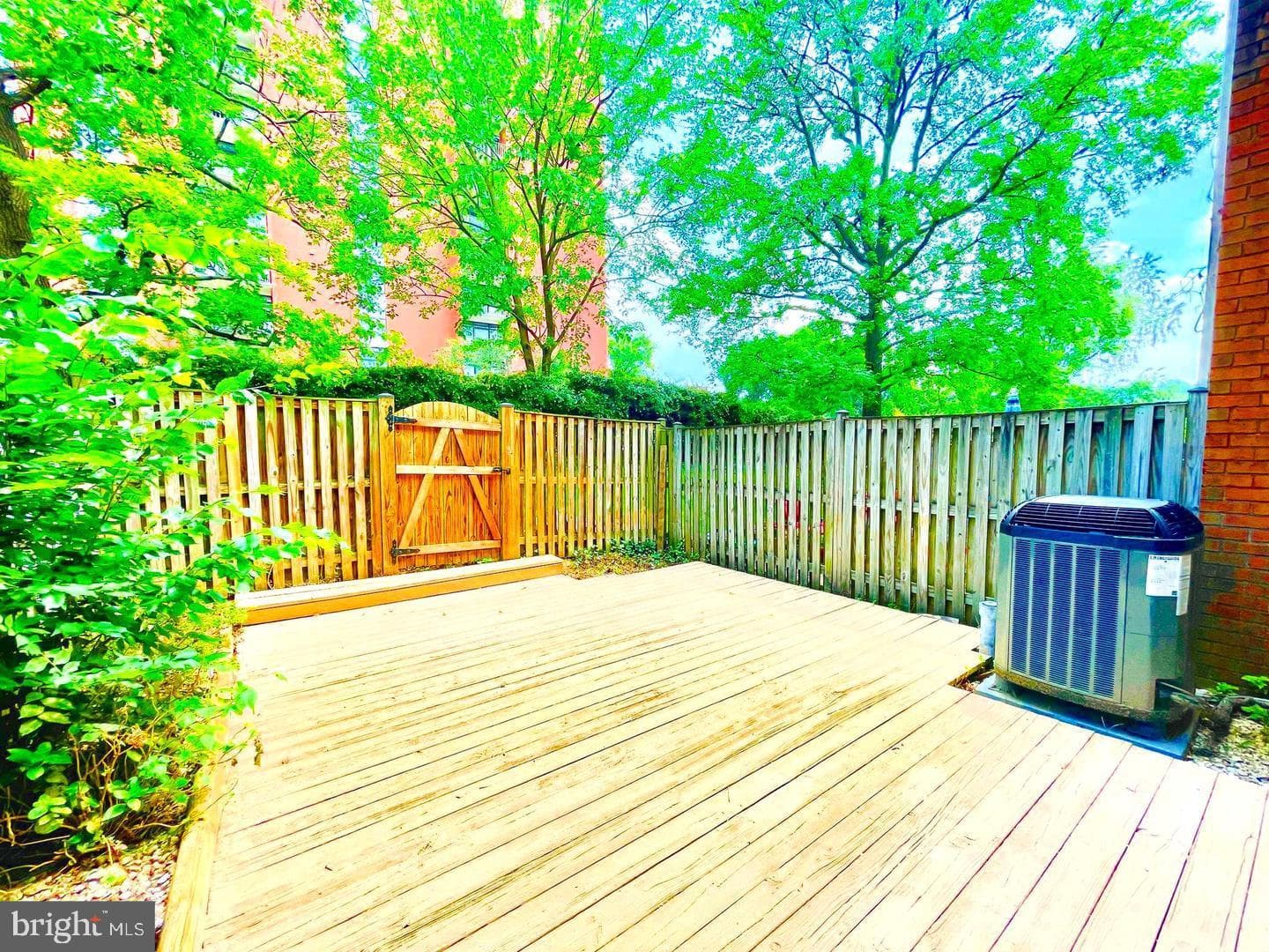 21 Theo Lane #21 photo 25