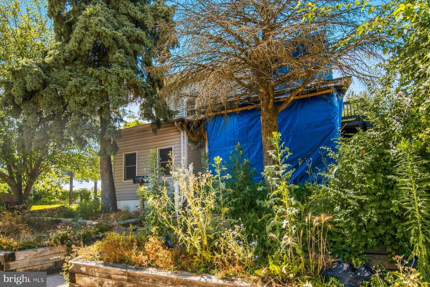 1826 Kittyhawk Road photo 5