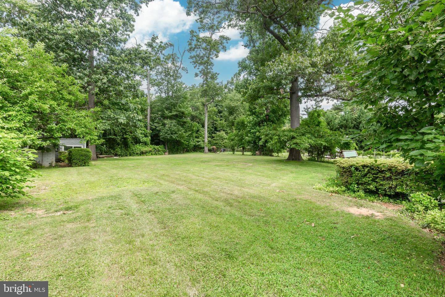 204 Uppergate Court photo 49
