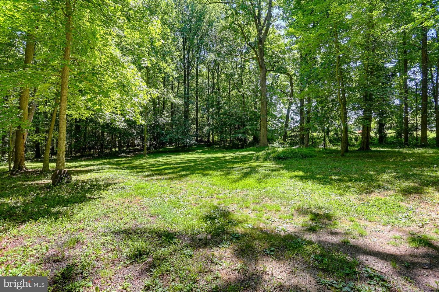 4806 Forge Road photo 52
