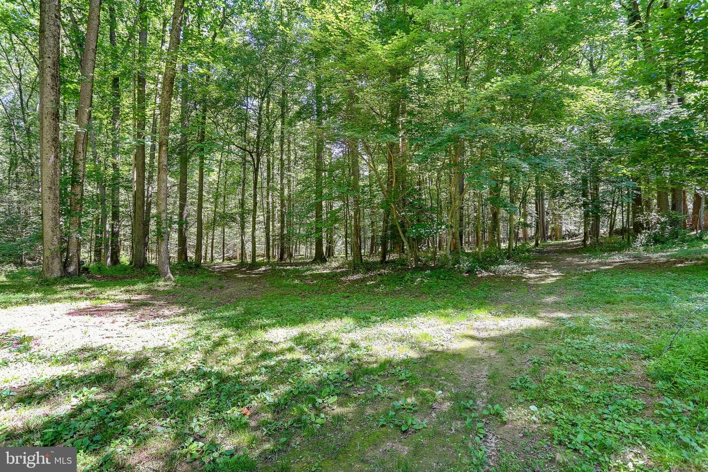 4806 Forge Road photo 53