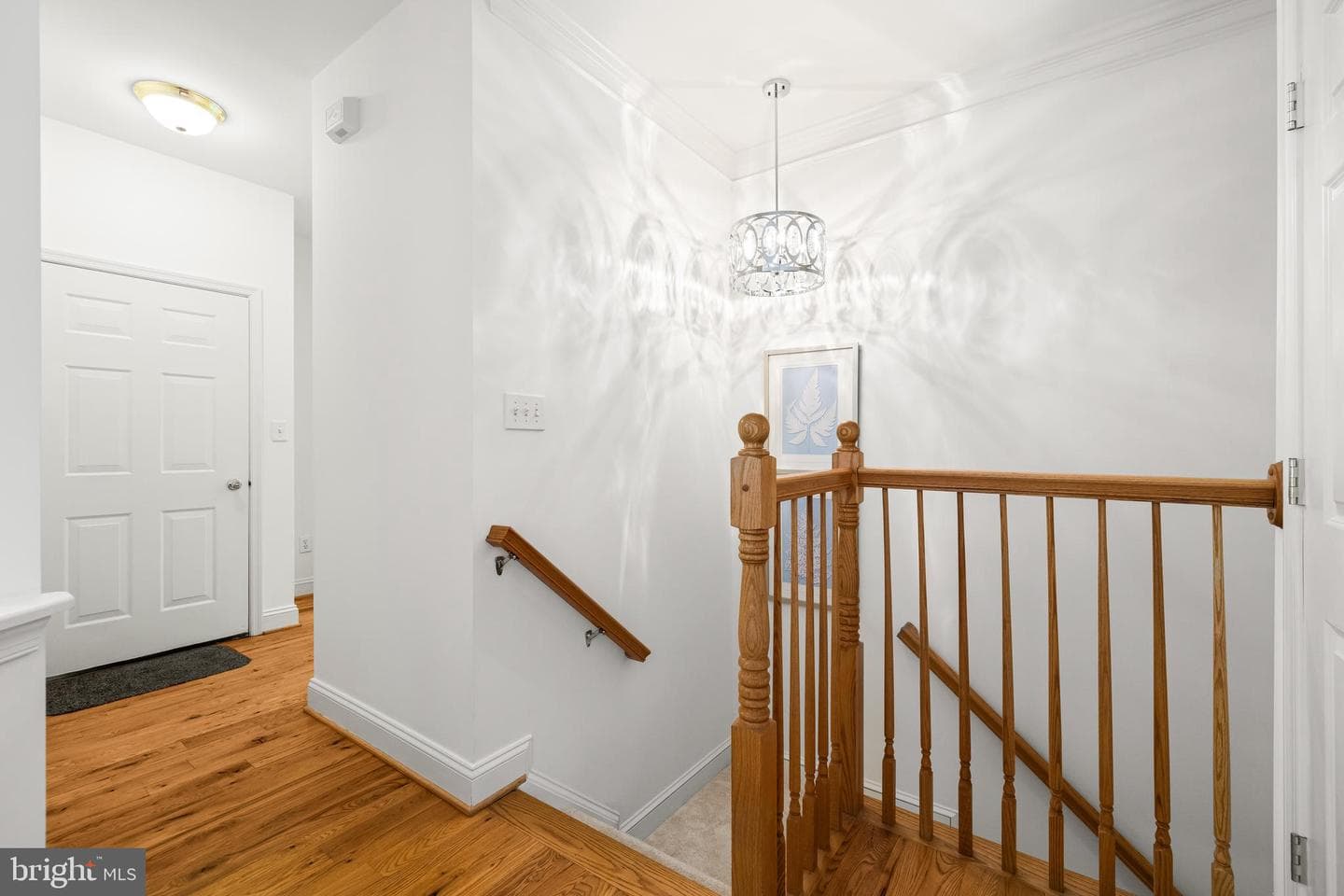 543 Allegheny Avenue photo 11