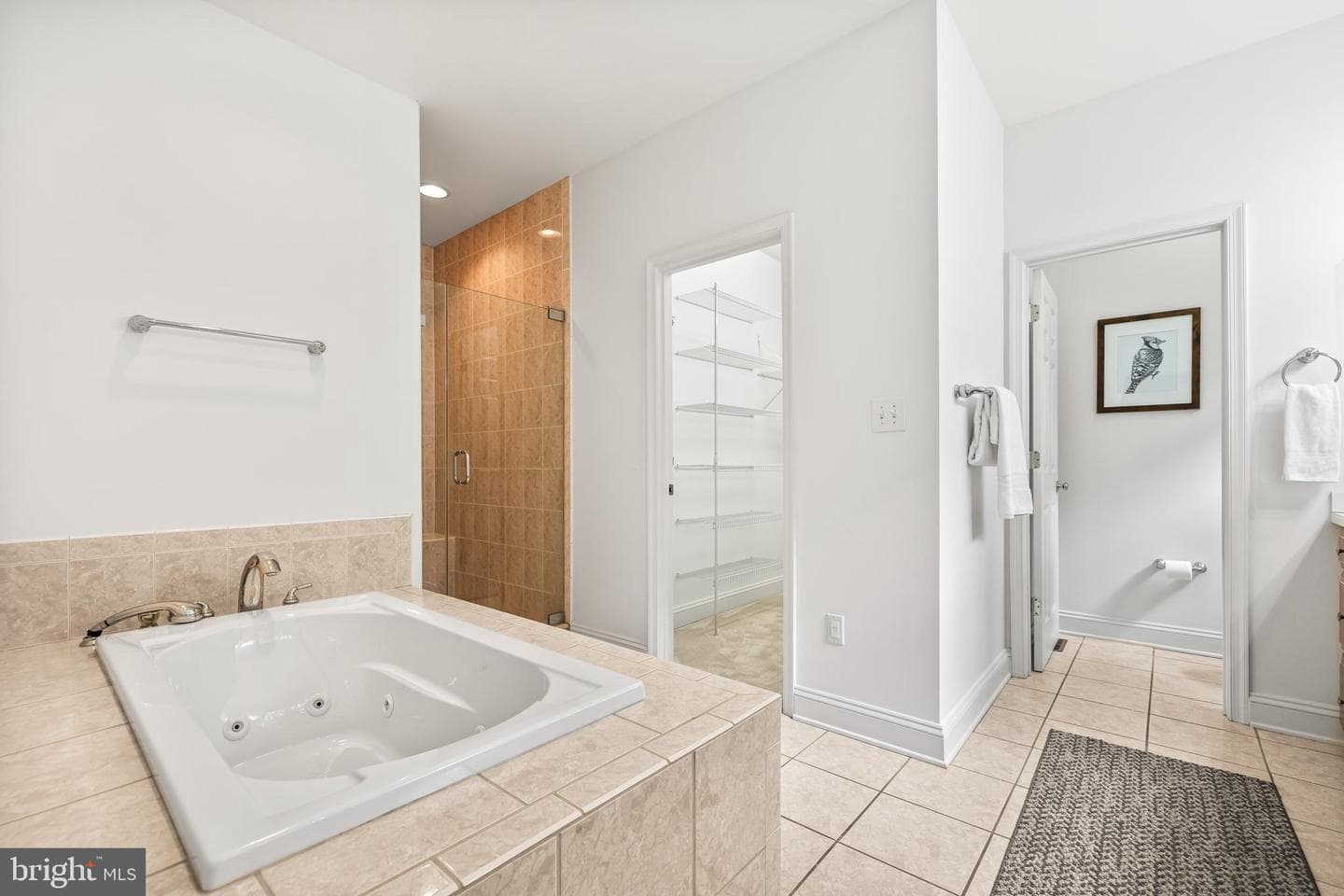 543 Allegheny Avenue photo 51