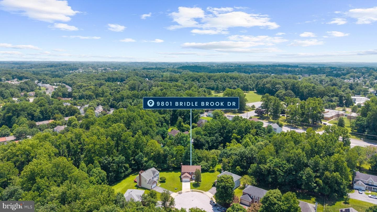9801 Bridle Brook Drive photo 48
