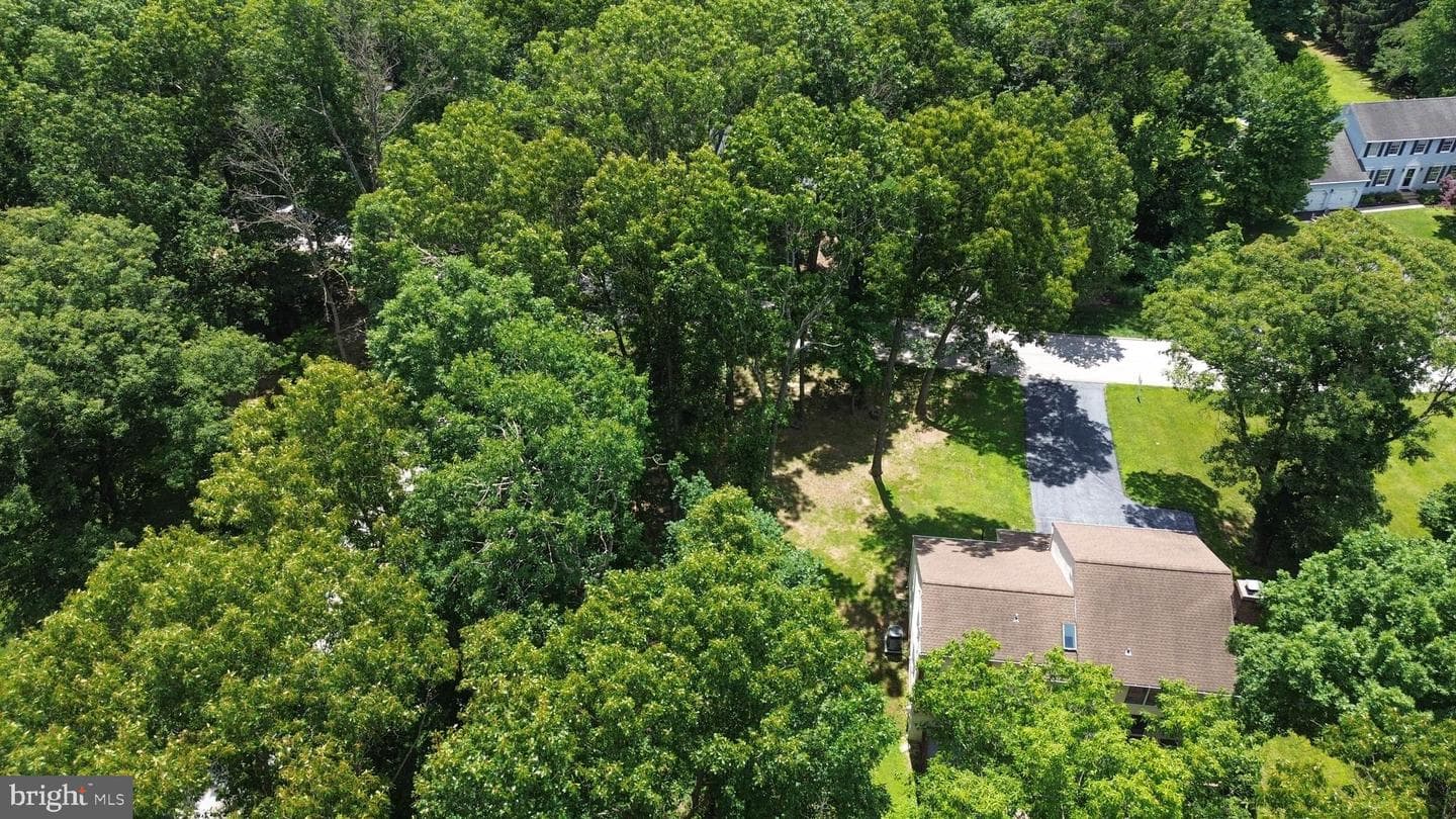 19018 Hunt Pass Court photo 4