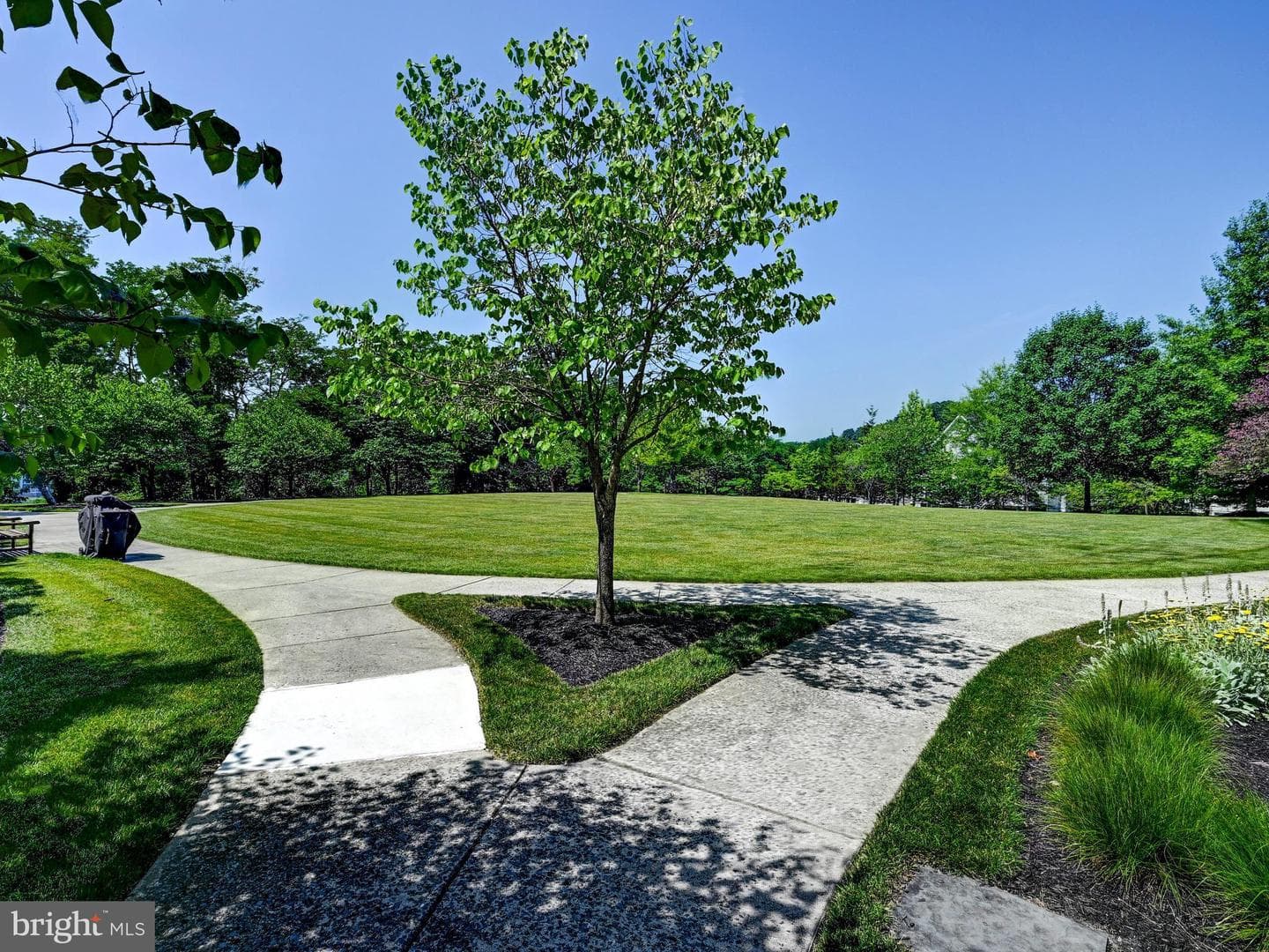 7101 Travertine Drive #308 photo 23