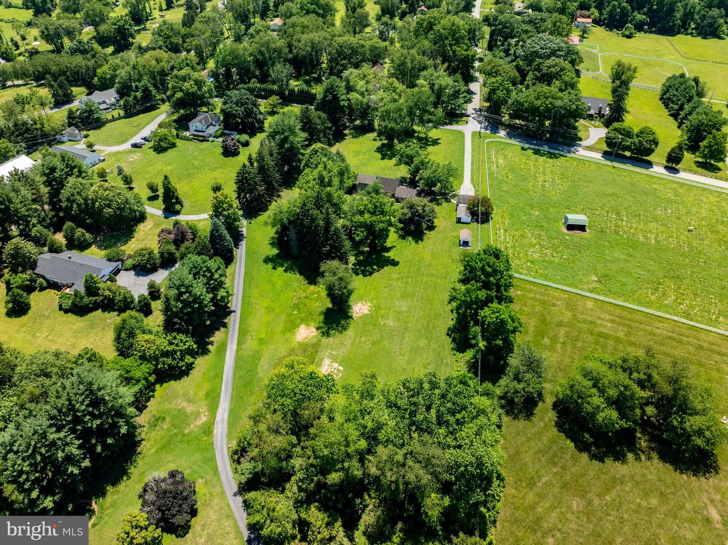 Blenheim Road photo 45