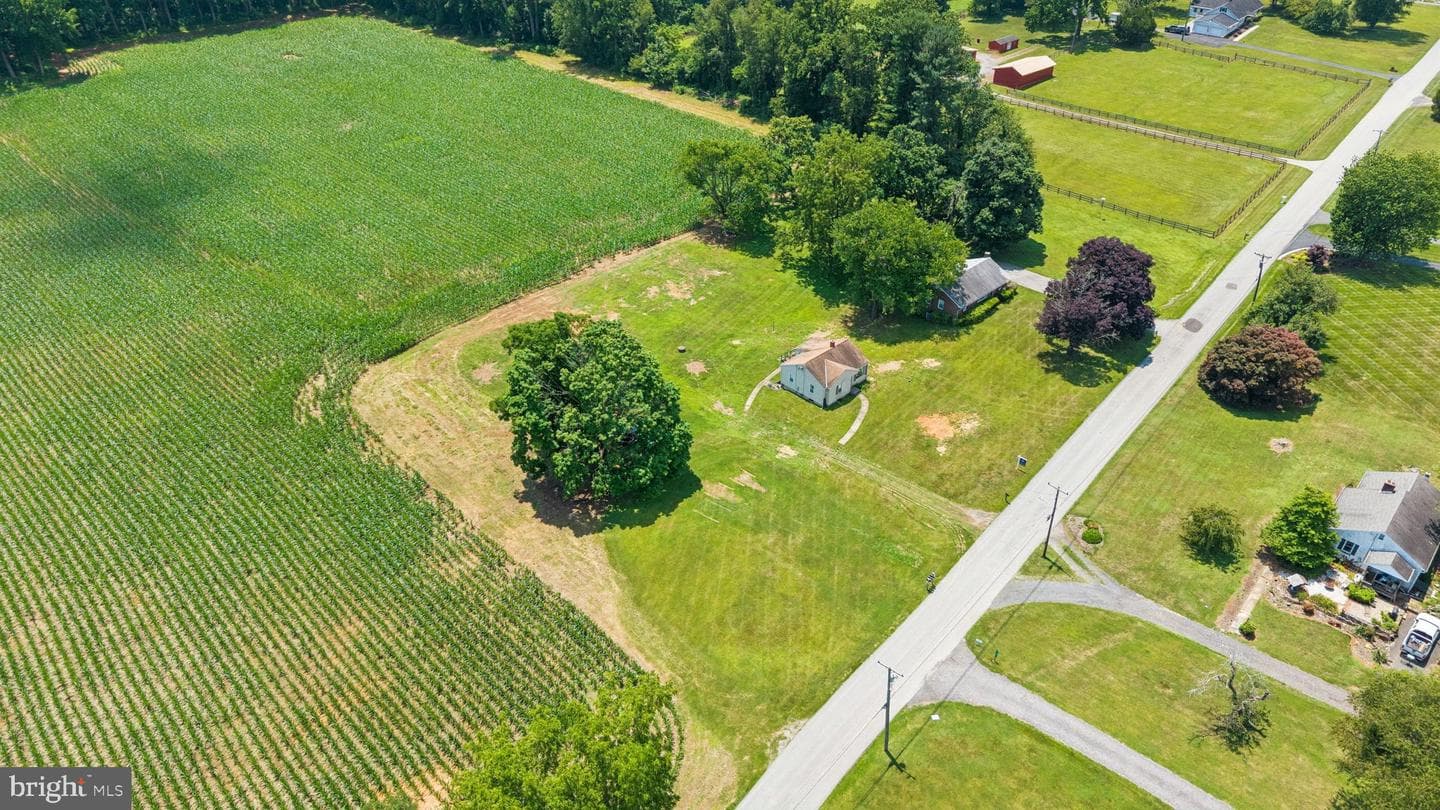 7219 New Cut Road photo 18