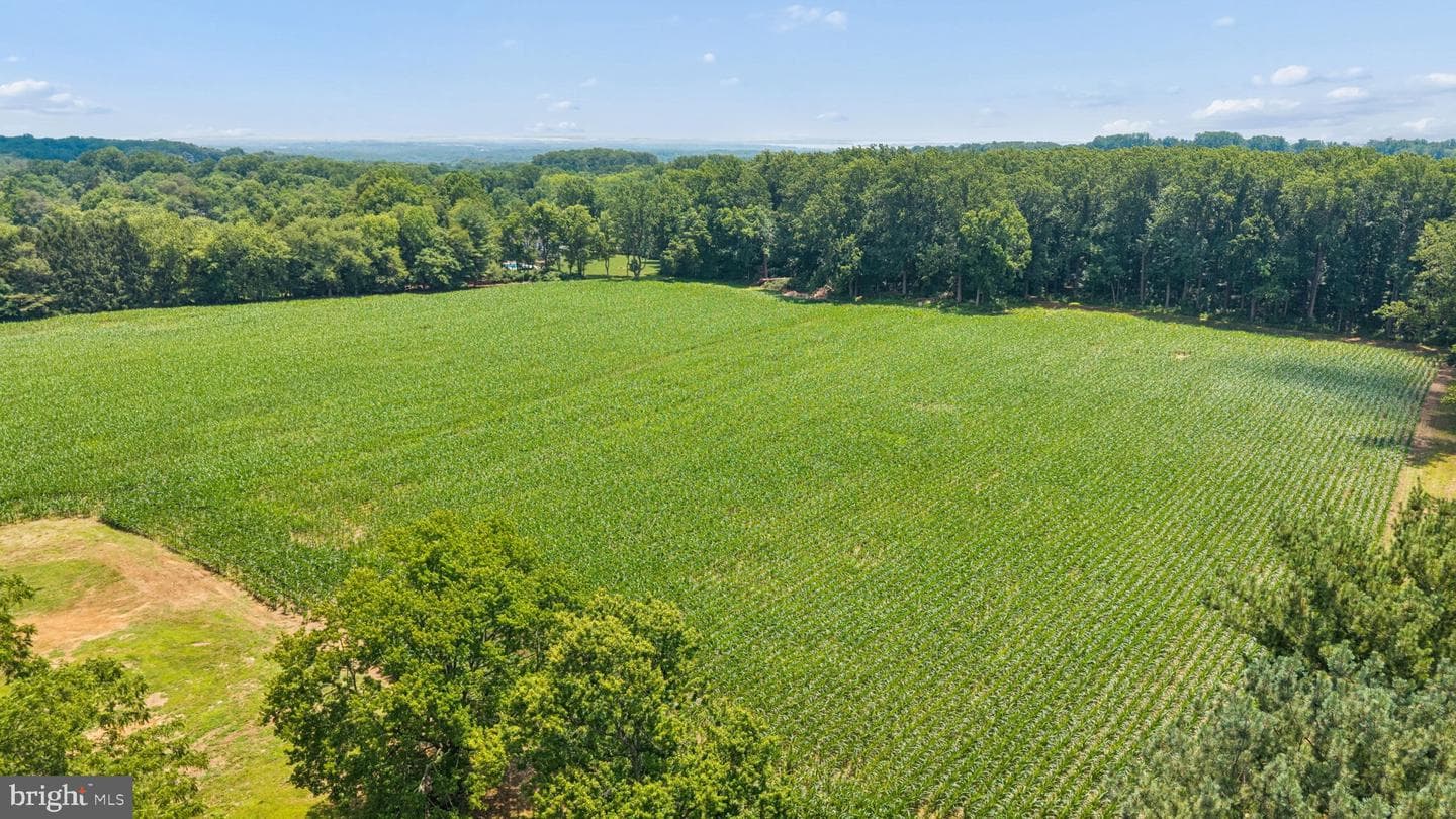7219 New Cut Road photo 20