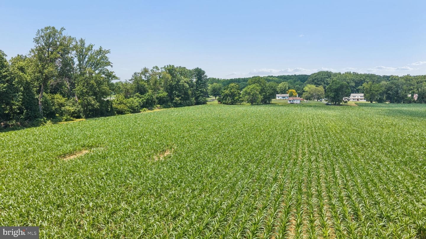 7219 New Cut Road photo 25