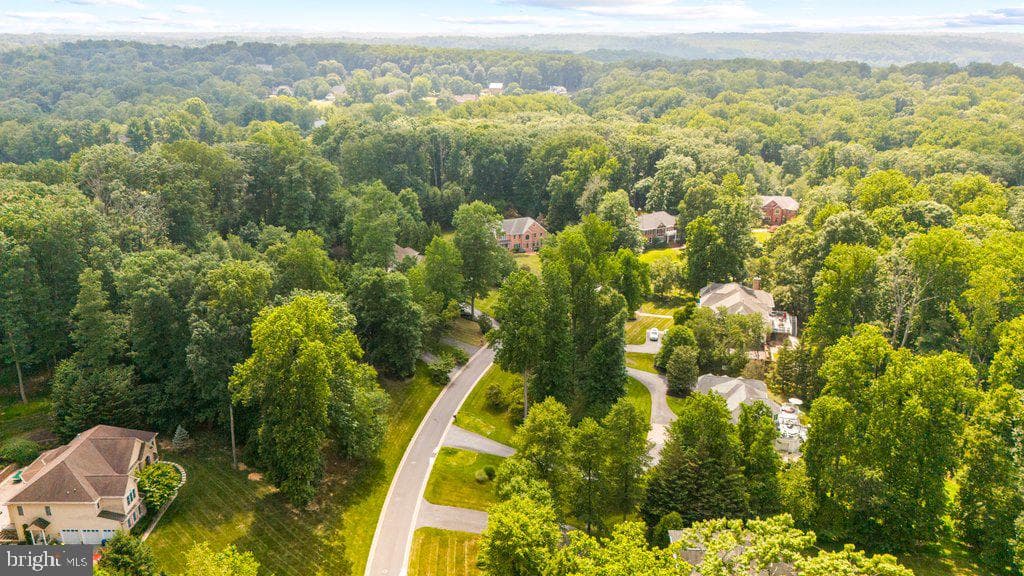 2605 Chestnut Woods Court photo 18