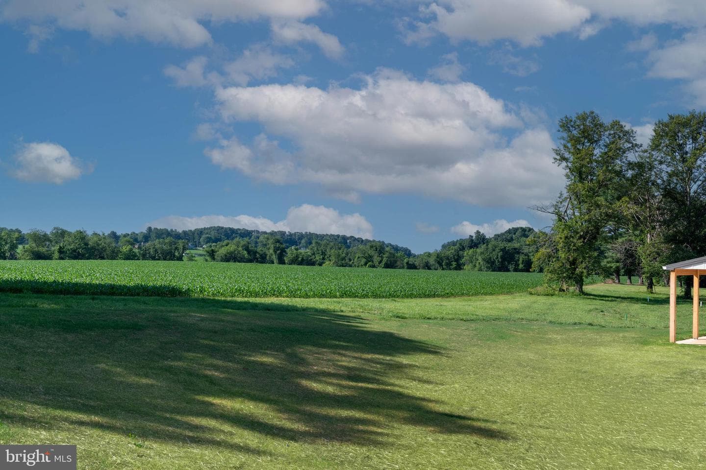 3319 Mount Carmel Road photo 4