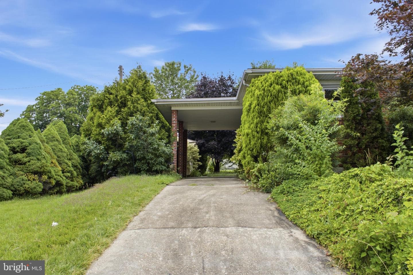 8302 Berkfield Road photo 5