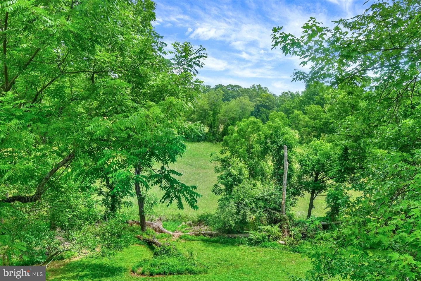 2743 Ridge Road photo 32