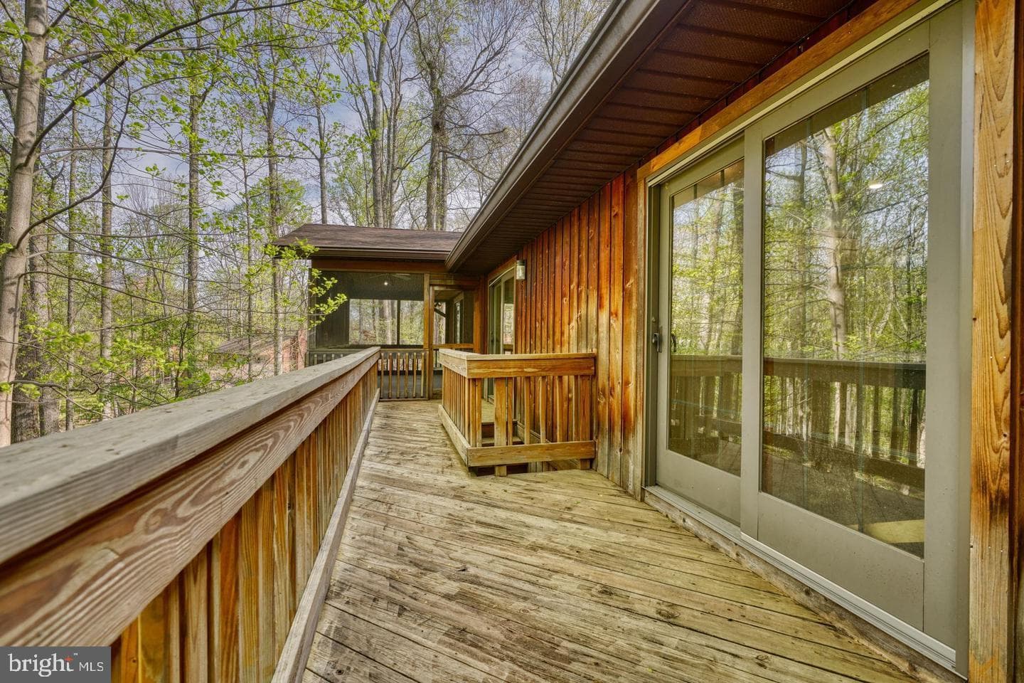 12602 Sagamore Forest Lane photo 5