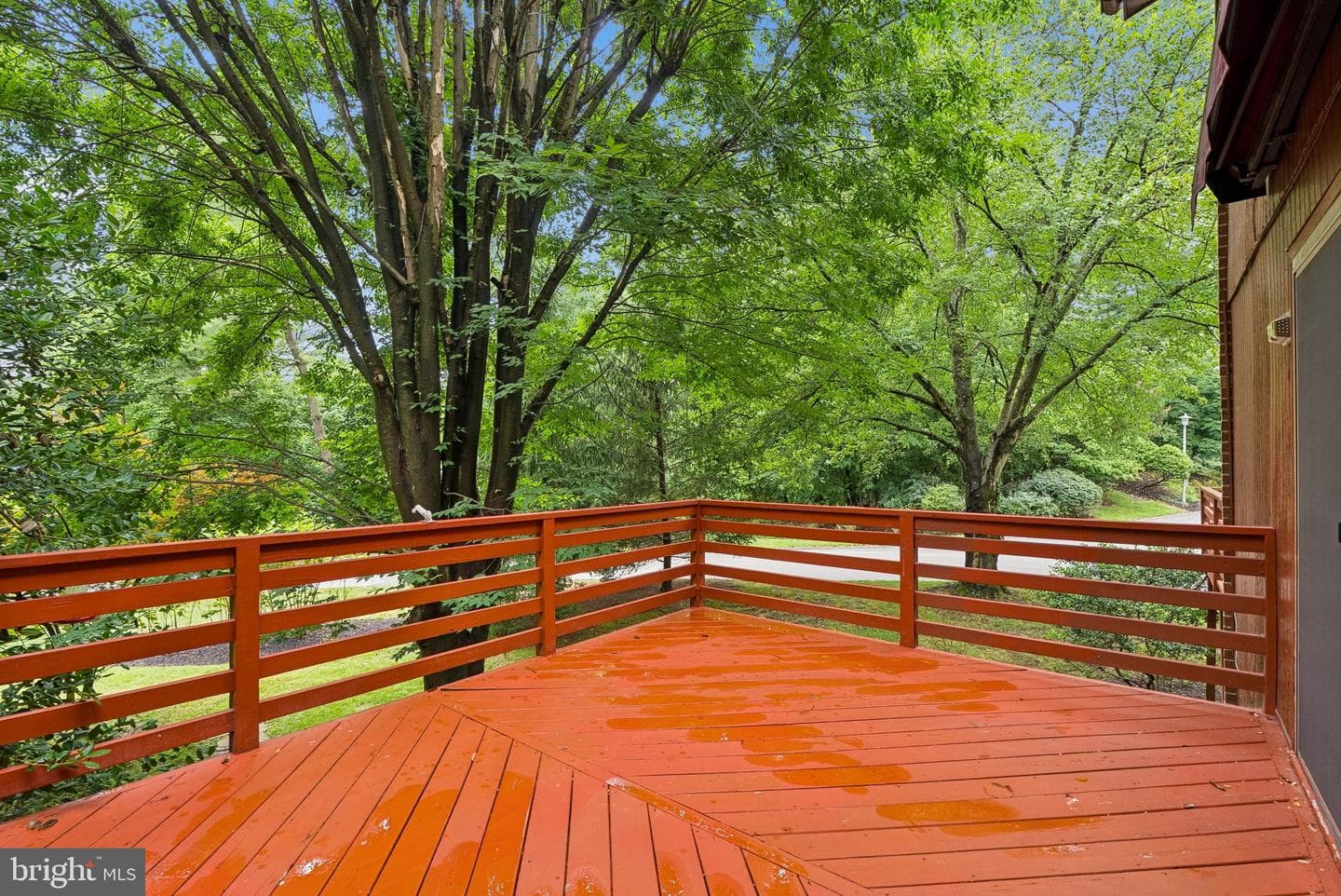6103 Buckingham Manor Drive photo 54