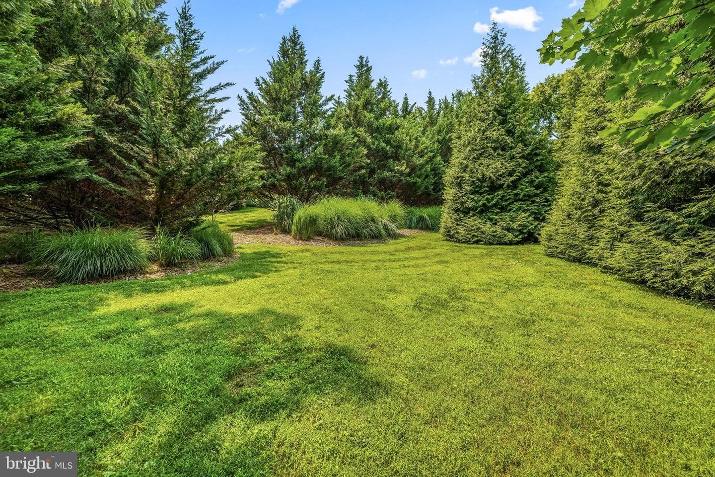 3104 Huntmaster Way photo 37