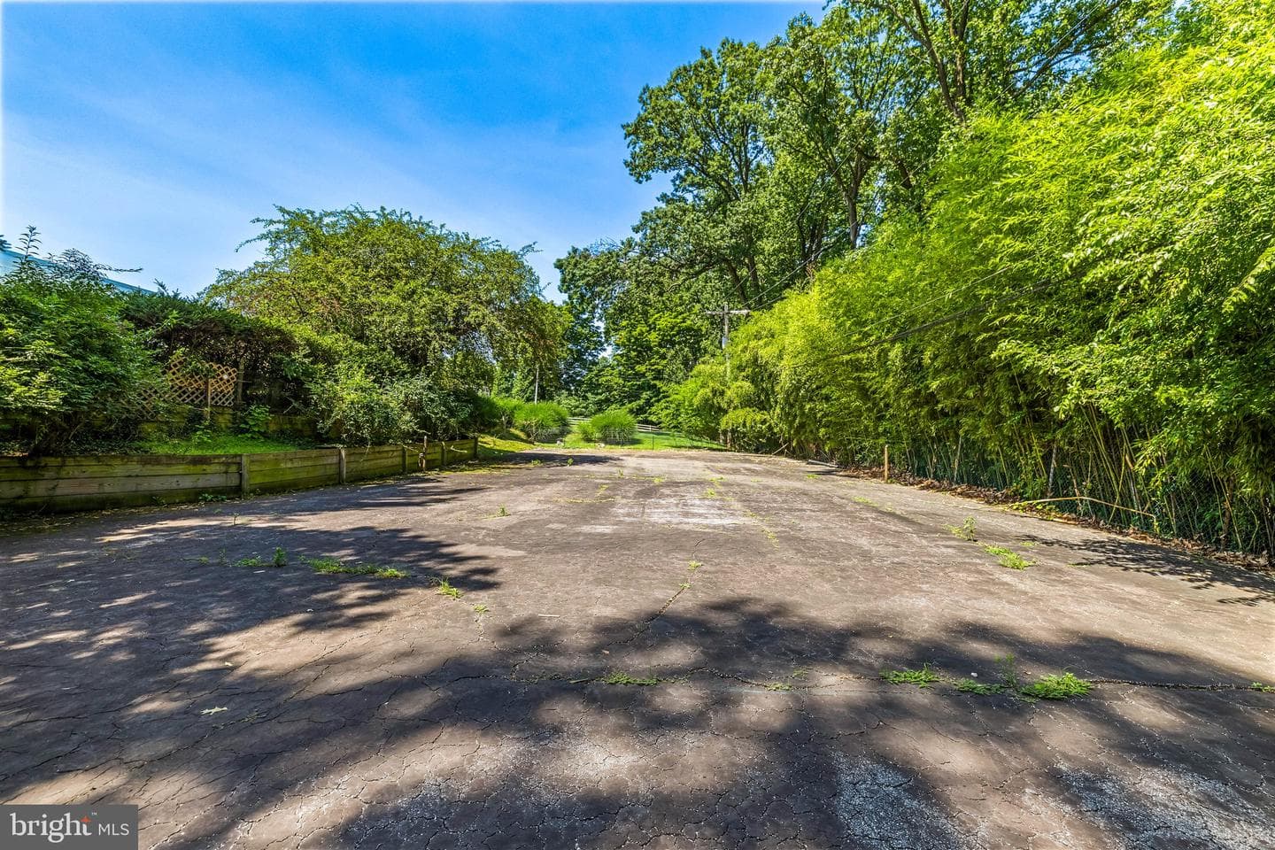 3310 Midfield Road photo 59
