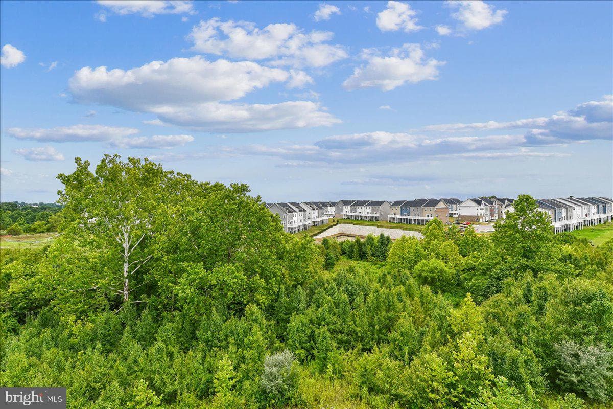 2209 Woodlands Road photo 61