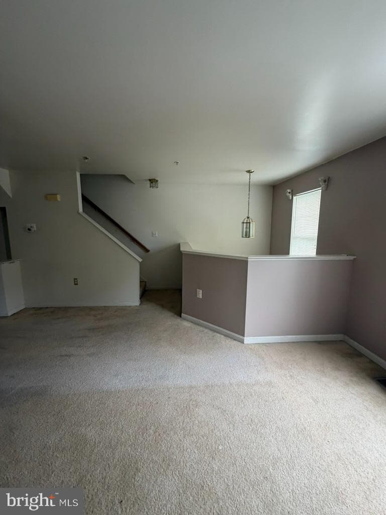 9540 Branchleigh Road photo 21
