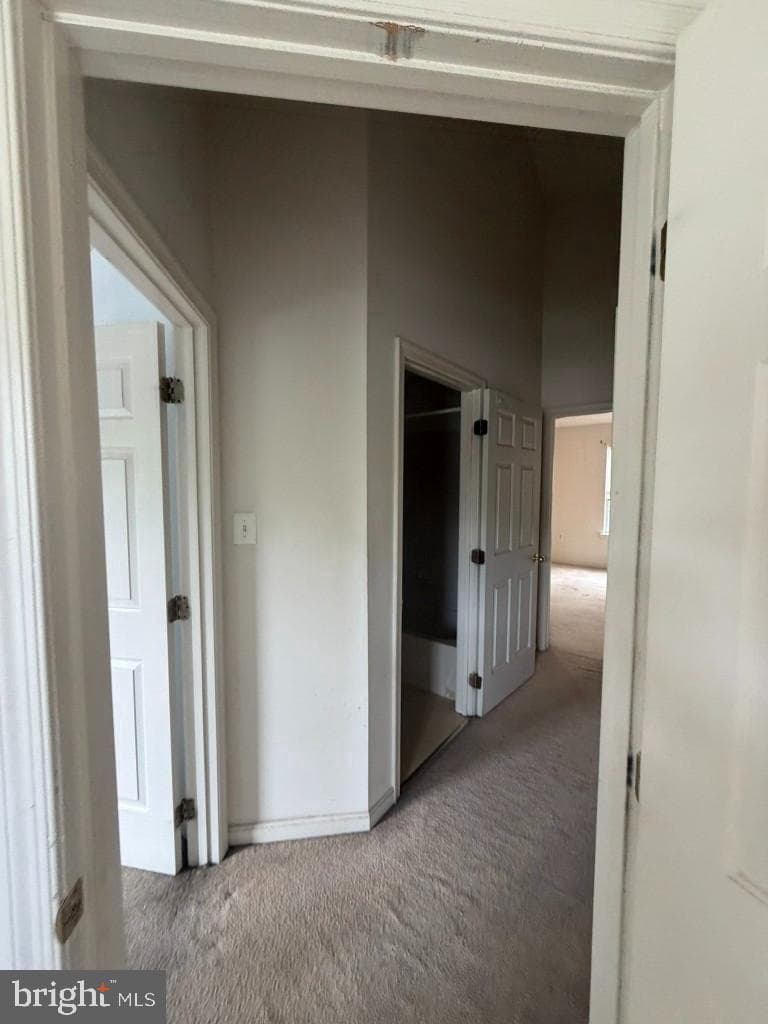 9540 Branchleigh Road photo 35