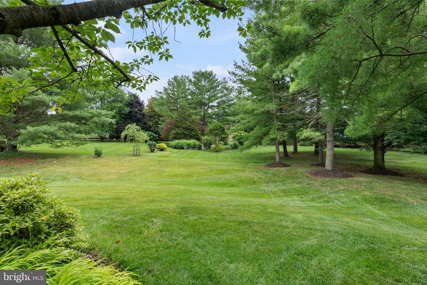 7 Spring House Road photo 35