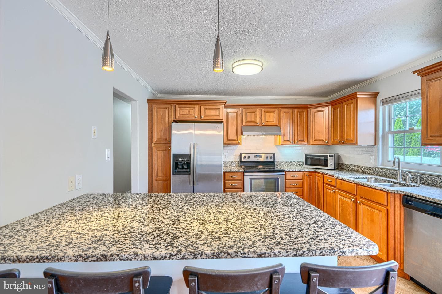 9520 Oakbranch Way photo 18