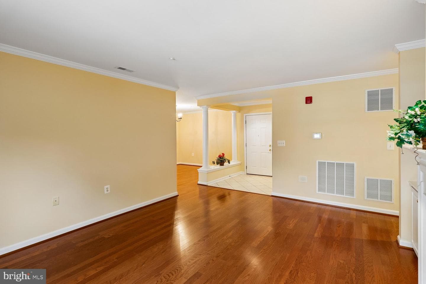 660 Straffan Drive #101 photo 4