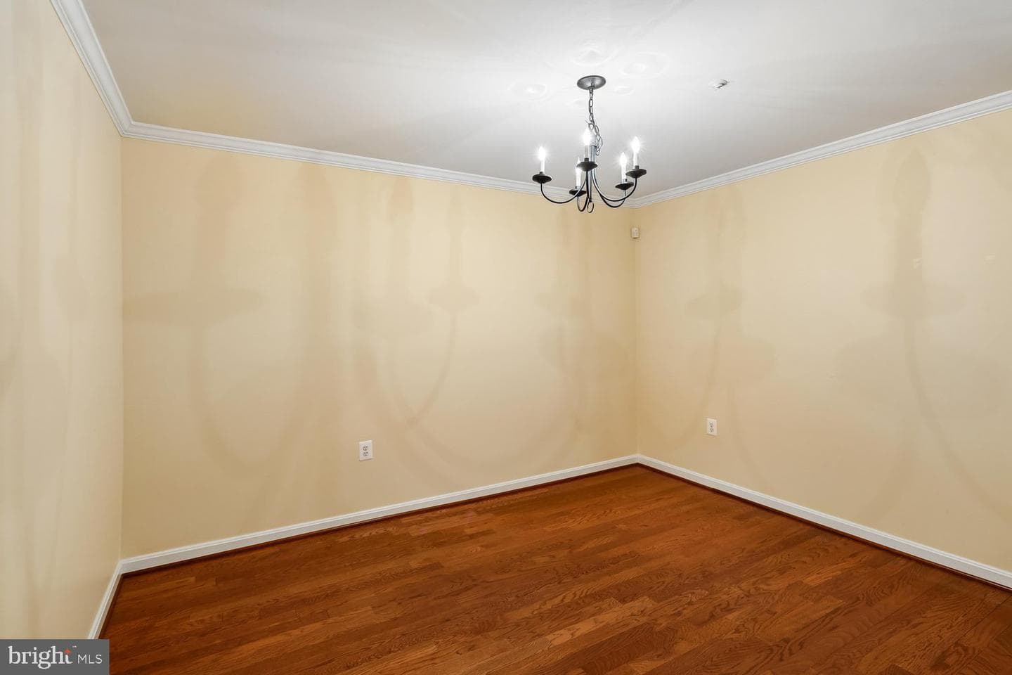 660 Straffan Drive #101 photo 8